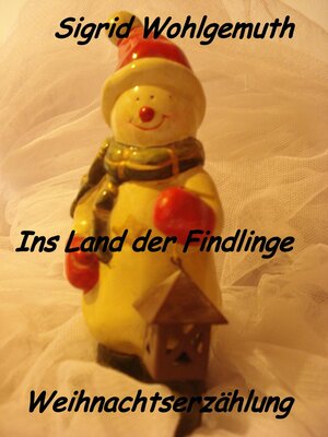 cover image of Ins Land der Findlinge